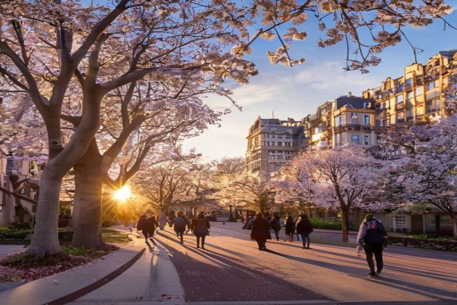 Introduction — classement universités françaises 2026